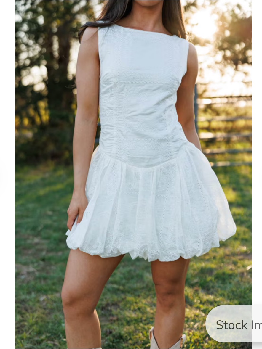 Promesa White Embroidered Mini Dress